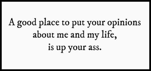 287419862_584855746336471_1766689421204164765_n - Copy