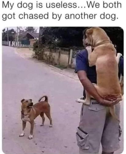 FB_IMG_1656182732647