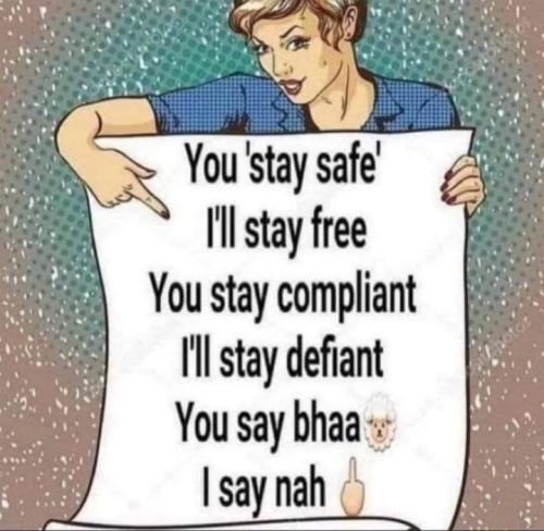 FB_IMG_1655181654850