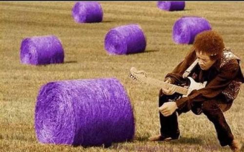 FB_IMG_1630979799946