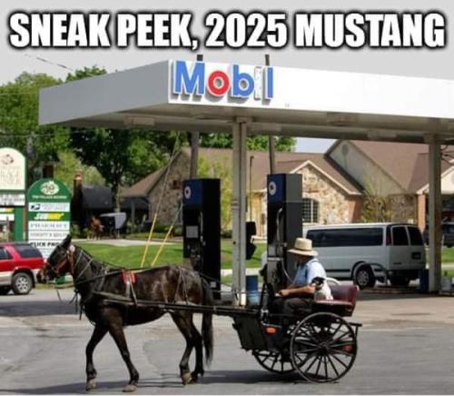 285938132_3274362852845198_3972991405801564691_n