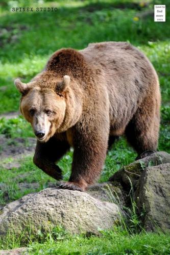 2e823988f067832db63779c8c92db827