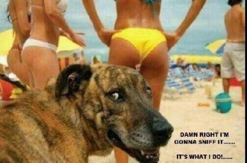 FB_IMG_1656339271202