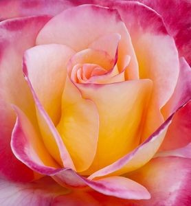 09:00:55 GMT-0500 (CDT)