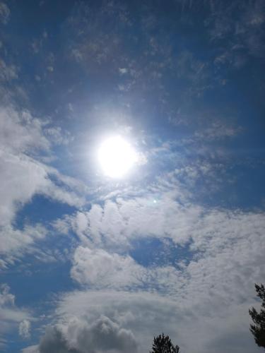 received_393136502581690