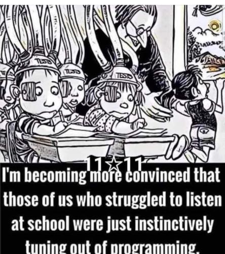 FB_IMG_1656503512476