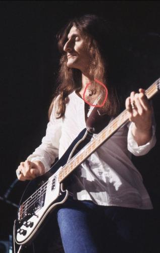 tumblr_bf45193b71fce3fc4477a518f94ffd56_66efa9b5_640