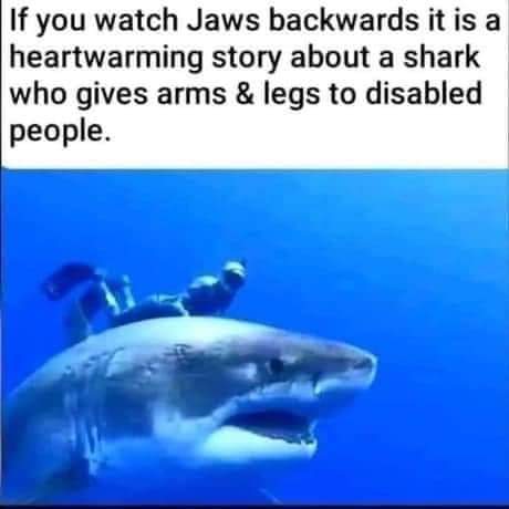 FB_IMG_1656101209929