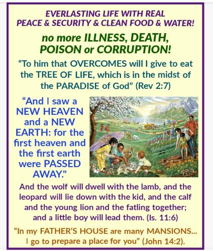 Screenshot_2022-06-03-09-24-07-543_com.adobe.spark.post~2