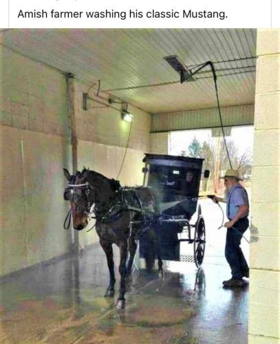 285616030_5337400159613431_2216564702680411178_n