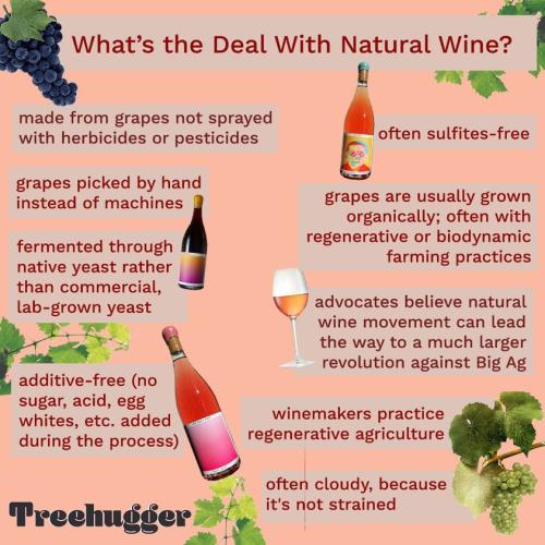 289126965_10159106233835292_8969413817448032883_n