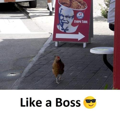 FB_IMG_1655825701928
