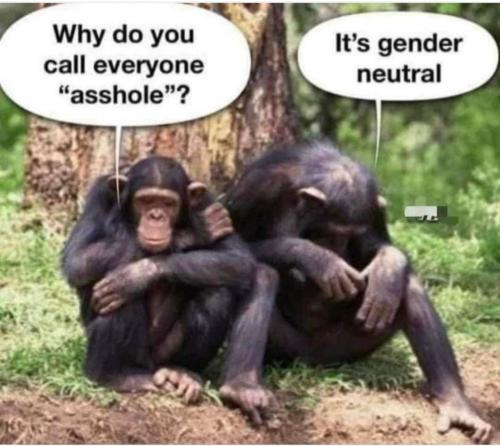 12:16:10 GMT-0400 (EDT)