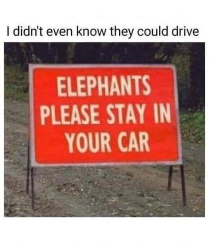 FB_IMG_1654042374495