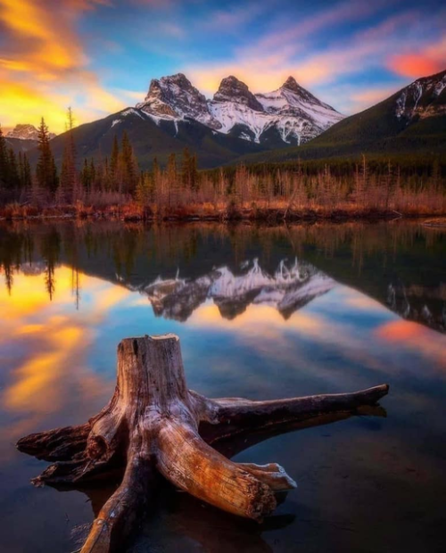 286879476_1100835827175111_1034456154631416703_n