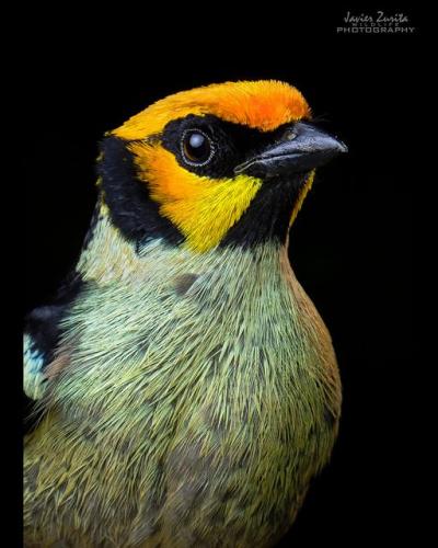 288218240_430268335774603_5342858136396466083_n