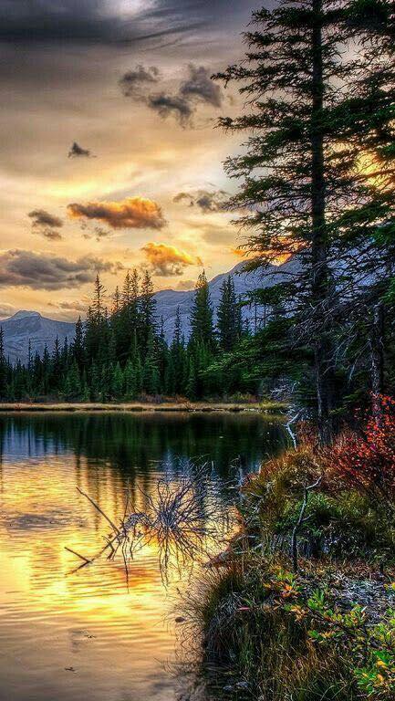 286010137_510356444213696_9073577457553565028_n