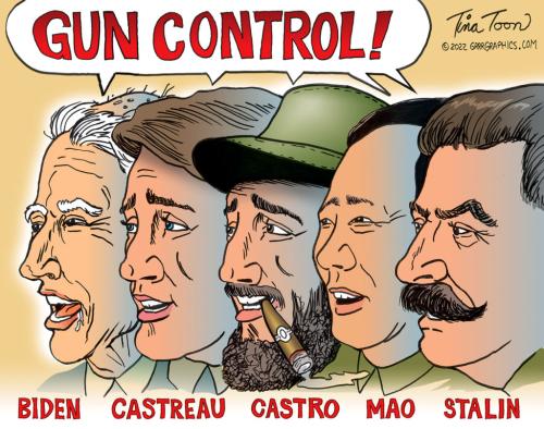 gun_control-tina-toon-1024x808