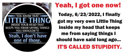 289474601_748640642816086_6589226429445119476_n