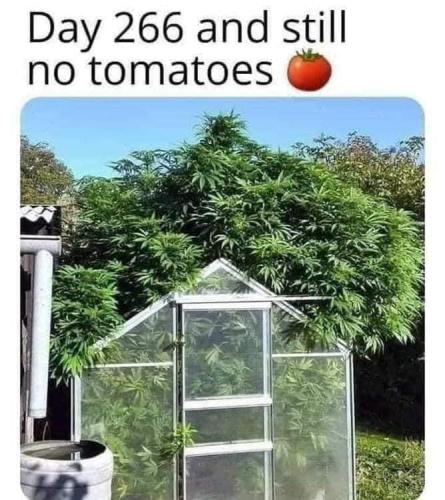 FB_IMG_1655125300447