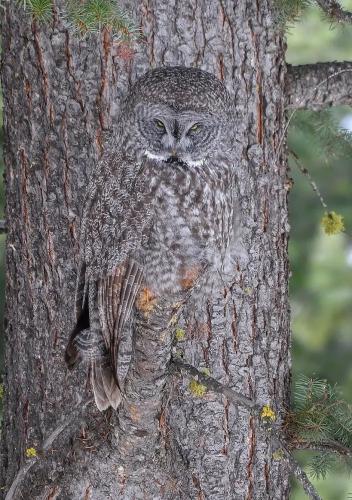 tumblr_b6ae8fa109eb5758f744fbbff61a6fec_2defa6de_1280