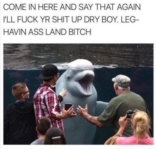 287823524_5588539404512144_5663481001375440563_n