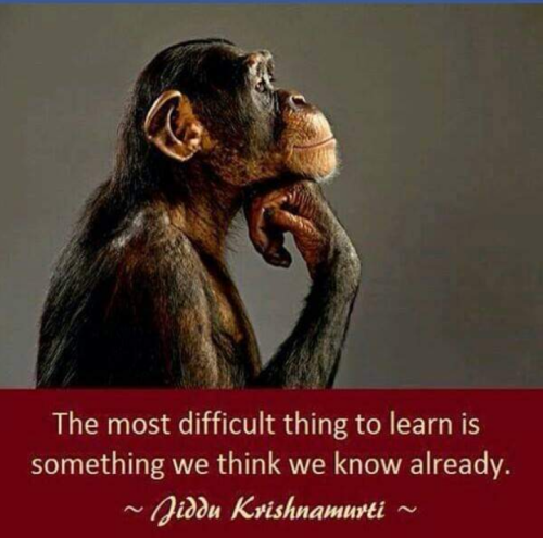 Screenshot_2022-05-17-00-53-13_kindlephoto-217737019