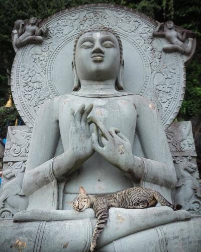 282625586_3257570801156302_2672129936973152425_n