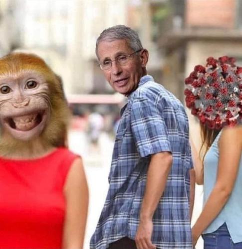 monkeypox24