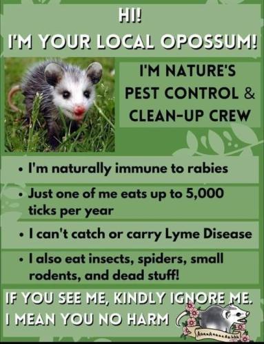 278910324_4961633107218114_4932723741395234306_n