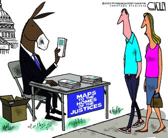 sk061222dAPC20220610084503-375x275