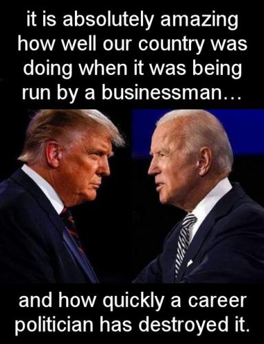 shitshow joe40