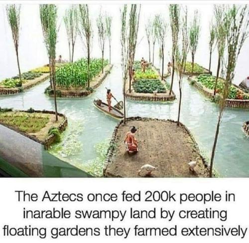 288467814_5621808394520507_7365250164799215985_n