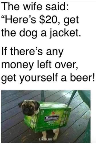 FB_IMG_1655064685330