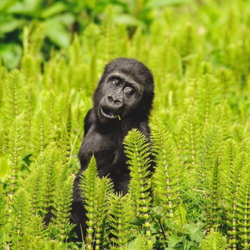 tumblr_fcdf85d92a4a98278d9e76a9bea50d71_e8e8a351_540