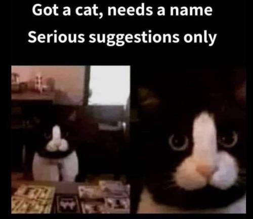 FB_IMG_1656525749525