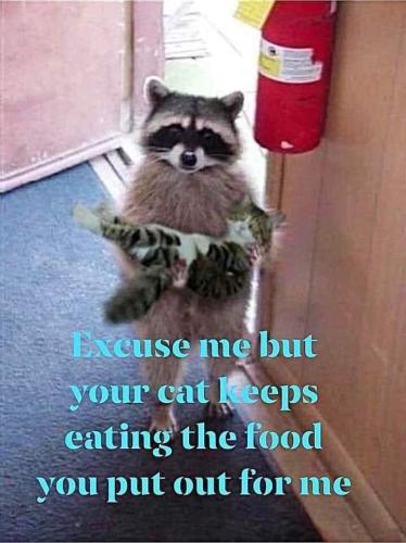 FB_IMG_1655232048377