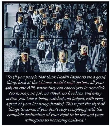 C8B07636-E852-4660-9F66-A3207100D46F-45292-00001BD21CAA1D56