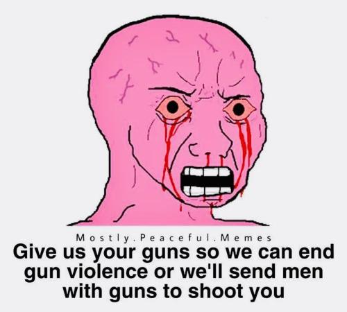 Gun Control Meltdown 1