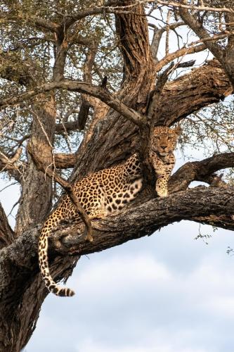 290330343_2655081211293369_8130715795345344379_n