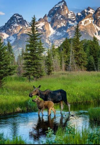 tumblr_a171f259e5716438b6d5408f60e7aa4b_d0316cff_540