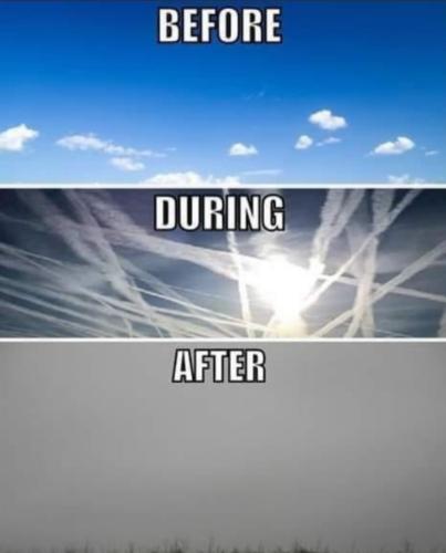 Screenshot_20220628-091301_MeWe