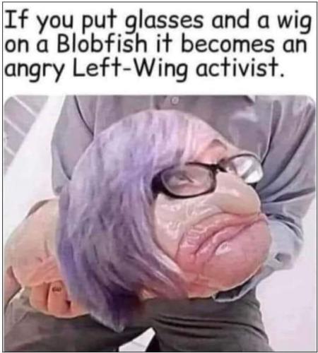 FB_IMG_1656005340064