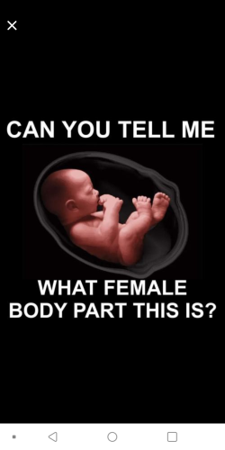 17:31:24 GMT-0400 (EDT)