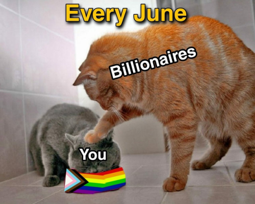 tumblr_a75bd77bf62f2b70a4b71efd164c7a0e_77a4e24b_640