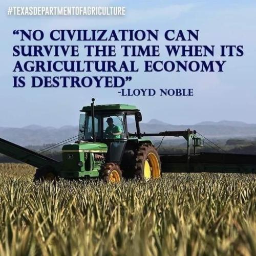 288540036_1083440118938112_1175453484605447532_n