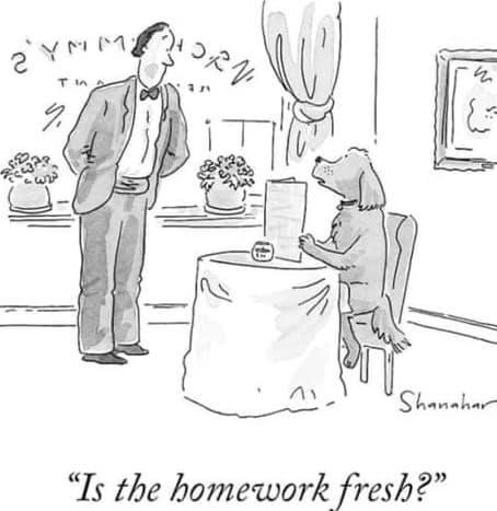 284464644_5375507289154366_2621545118901899508_n