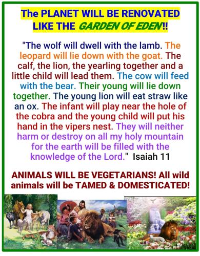 Screenshot_2022-06-01-20-41-16-192_cn.wps.moffice_eng~2