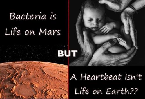 Abortion 1