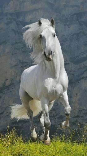 tumblr_pqqpsaAFHH1qat5pio1_640